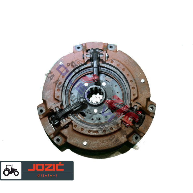 Daisy on the Ohoopee